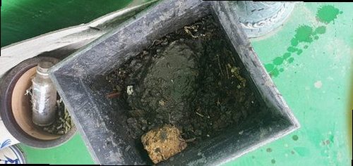 장안구 율천동 하수구막힘 싱크대 배수구 막힘 막힘을 줄이는 5단계 점검법