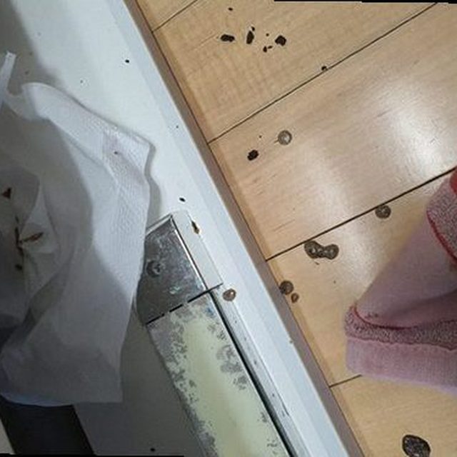 장안구 하수구막힘 율전동