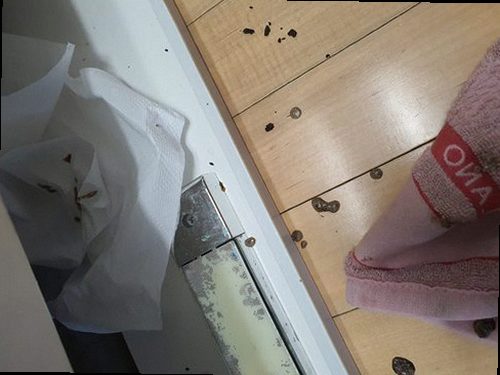 장안구 율전동 하수구막힘 싱크대 고압세척 물이 멈춘 날, 선택 기준